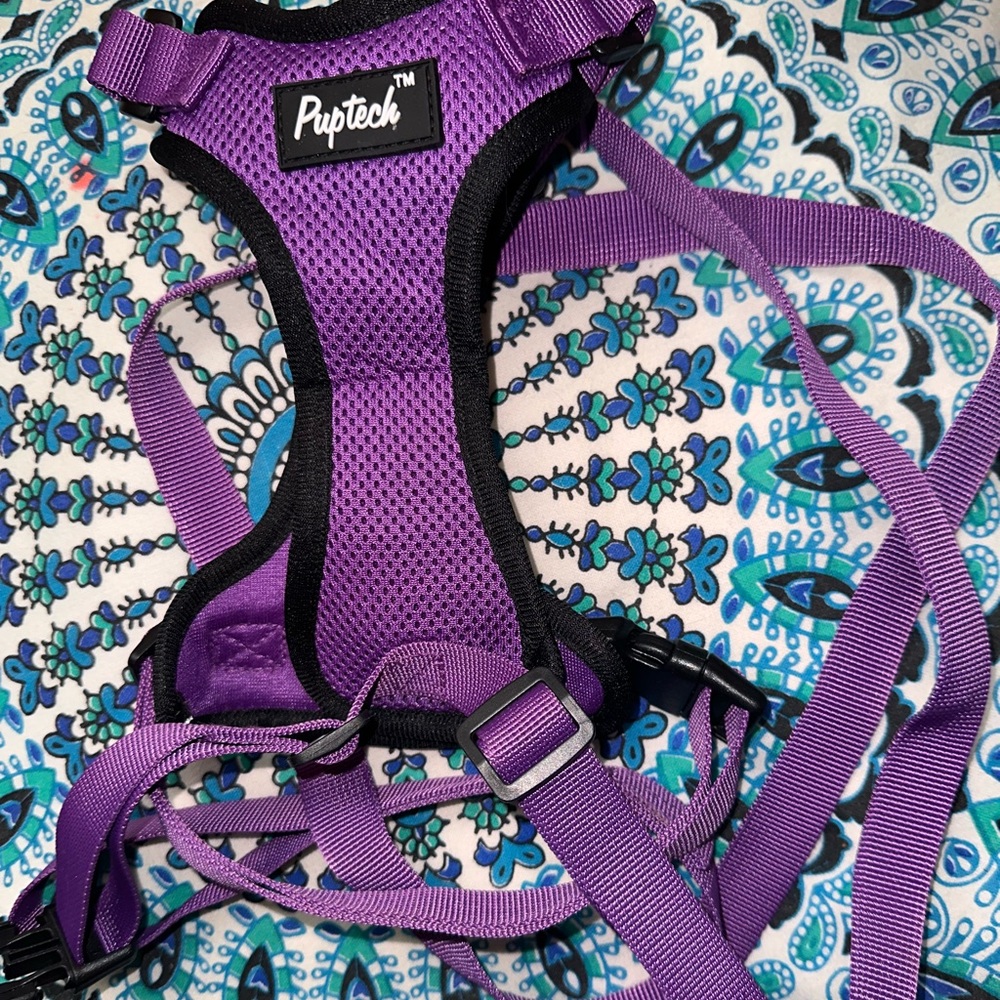 cat harness